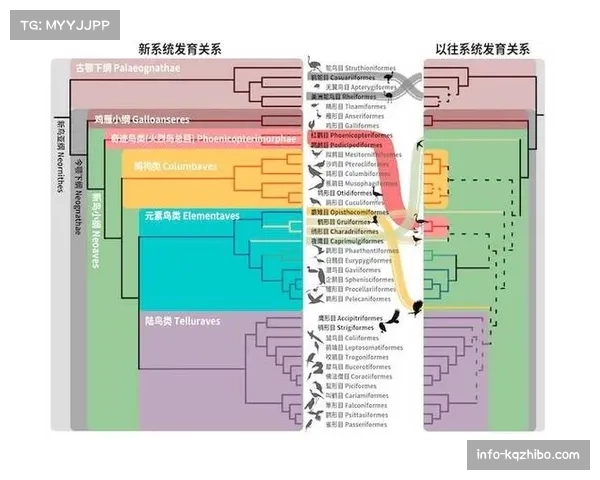 深度分析：高压之下，传统意式链式防守正在发生怎样的演化？